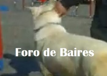 La Policìa Federal entrena Perros en Palermo