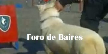 La Policìa Federal entrena Perros en Palermo