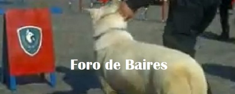 La Policìa Federal entrena Perros en Palermo