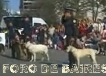 Festival de Perros Policías en Placita Armenia