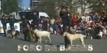 Festival de Perros Policías en Placita Armenia