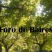 Entrevista «Hombre con Sol»