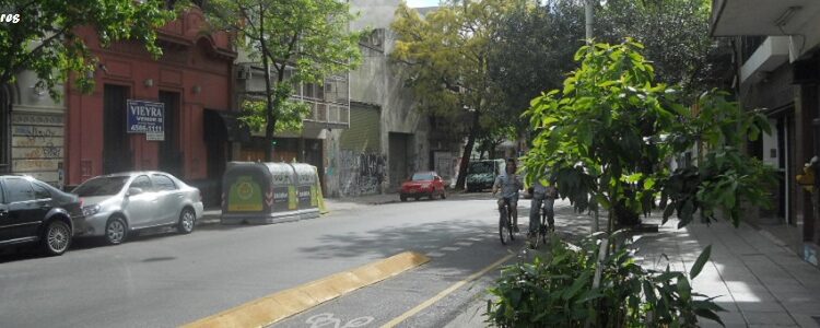 Por un Buenos Aires más verde