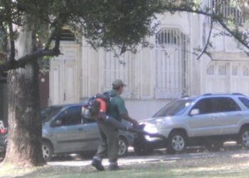 Ola de mosquitos en la Ciudad