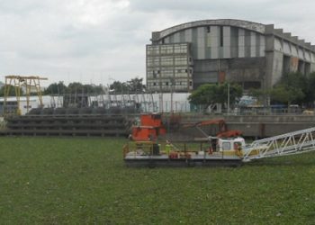 Camalotes en La Boca