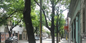 Es necesario una Ley Nacional de Alquileres