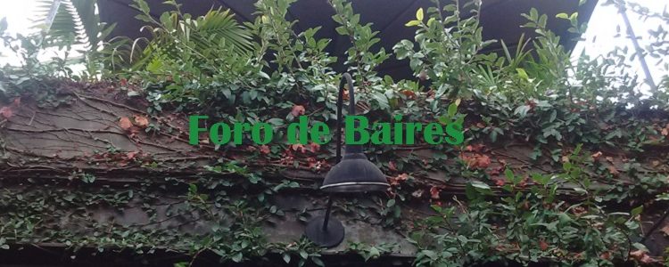Jardín Vintage de Palermo