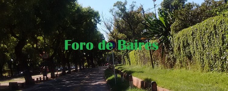 La Bicisenda del Bosque