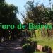La Bicisenda del Bosque