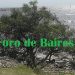 La reserva:todo un oasis (2)