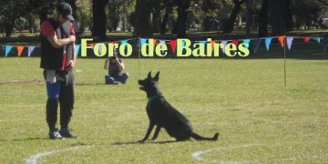 «KiroDisc»,el deporte canino