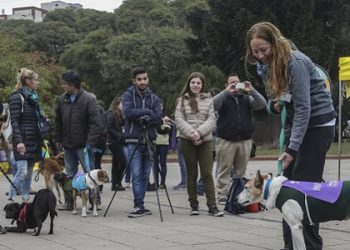 El Parque Thays expone