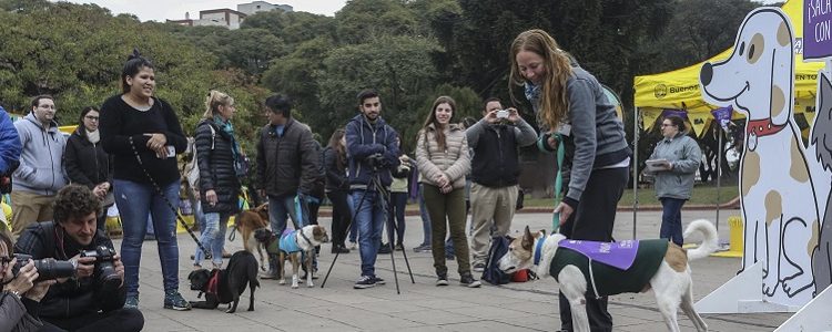 El Parque Thays expone