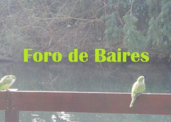 Los pájaros del Rosedal