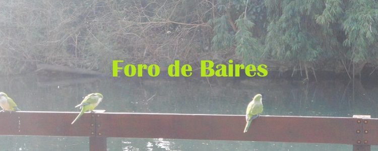 Los pájaros del Rosedal