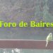 Los pájaros del Rosedal
