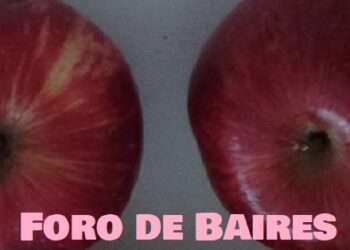 Reservá los bolsones de frutas y verduras agroecológicas