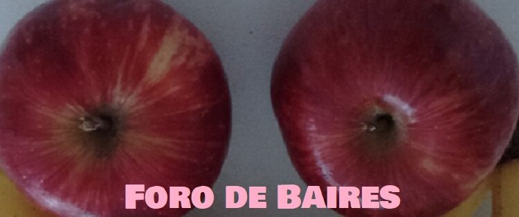 Reservá los bolsones de frutas y verduras agroecológicas