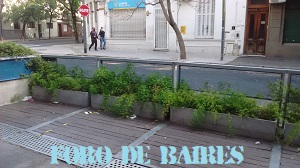 La imagen tiene un atributo ALT vacío; su nombre de archivo es fotoalmagrojunglahabitatcultural3.jpg