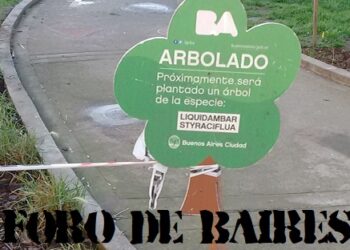 Las 36 especies de arboles que son aptas en la Ciudad