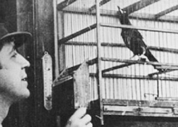 ¿Cuánto sabe usted de Carlos Gardel?