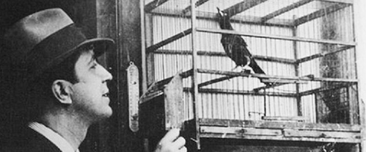 ¿Cuánto sabe usted de Carlos Gardel?