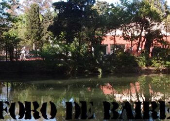 Así se ve el Lago Victoria Ocampo del Parque Tres de Febrero en Palermo
