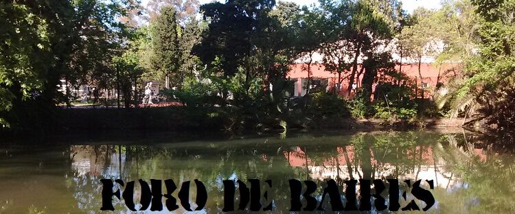 Así se ve el Lago Victoria Ocampo del Parque Tres de Febrero en Palermo