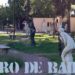 ¿Para qué sirve el Patio de Esculturas (MOA)?