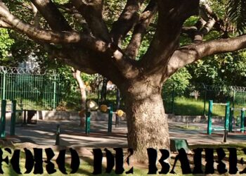 El Eco gimnasio de Parque Centenario para adultos mayores se puede disfrutar para hacer deportes y entretenimientos