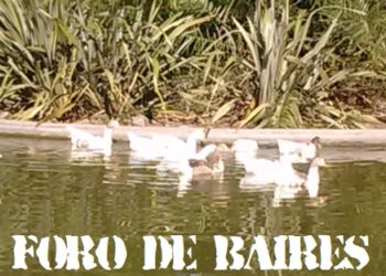 El Lago de Parque Centenario, un inmenso pulmón verde, limitado por tres comunas