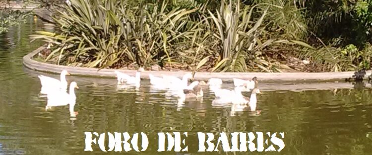 El Lago de Parque Centenario, un inmenso pulmón verde, limitado por tres comunas
