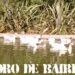 El Lago de Parque Centenario, un inmenso pulmón verde, limitado por tres comunas