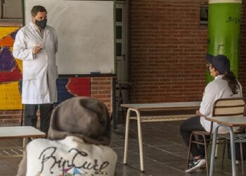 Cómo será el Plan de los 100 días de educación durante el verano