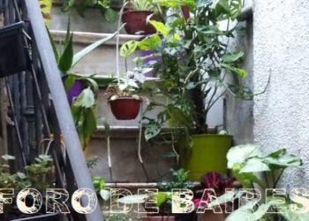 Hoy 31 de diciembre todos los patios gastronómicos estarán cerrados