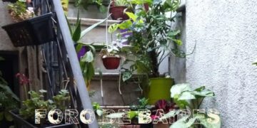 Hoy 31 de diciembre todos los patios gastronómicos estarán cerrados