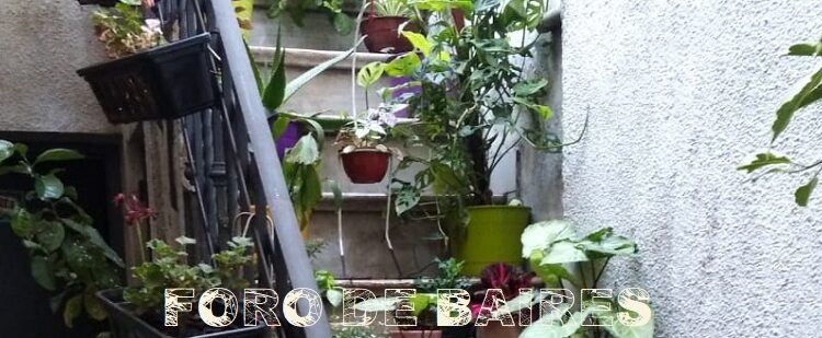 Hoy 31 de diciembre todos los patios gastronómicos estarán cerrados
