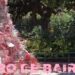 Un arbolito de Navidad y Papá Noel adornan Plaza Inmigrantes de Armenia