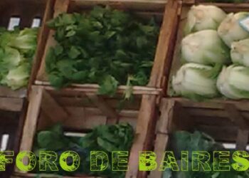 Los Bolsones de frutas y verduras agroecológicas se venderán en los Lagos de Palermo