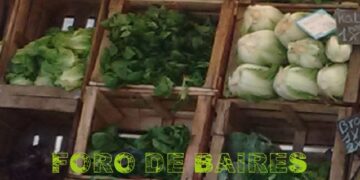 Los Bolsones de frutas y verduras agroecológicas se venderán en los Lagos de Palermo