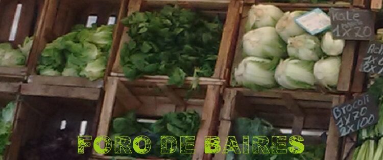 Los Bolsones de frutas y verduras agroecológicas se venderán en los Lagos de Palermo
