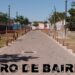 ¿Por qué hay pocos arboles en Buenos Aires?
