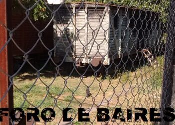 Emprender es aprender a ser libres