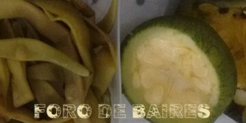La ensalada de zapallitos, acelga y chauchas: una comunidad saludable en la mesa de todos