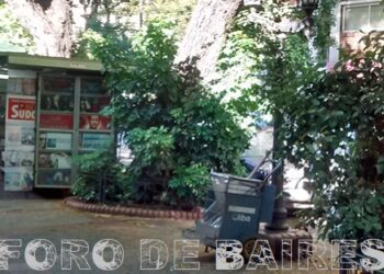 El Pasaje Monseñor Vicente Faustino Zazpe, una callejuela mínima en Palermo