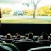 Continúa el BAFICI, con el cine argentino como protagonista