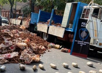 Operativo «Mandioca Verde»: Policía de la Ciudad interceptó en Zárate un camión con 52 kilos marihuana