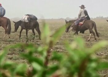 «Sintientes» o «Economía empoderativa», el filme de Juan Baldana que enseña a amar la tierra utilizando la producción local y natural