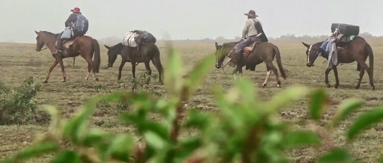 «Sintientes» o «Economía empoderativa», el filme de Juan Baldana que enseña a amar la tierra utilizando la producción local y natural