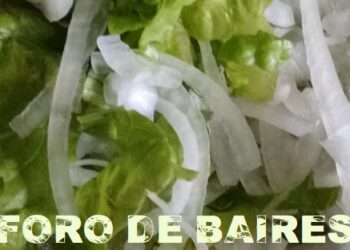 ¿Las ensaladas son comidas de verano o de todas las estaciones?